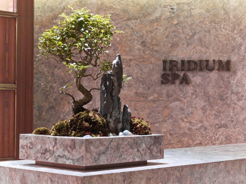 Iridium Spa — The St. Regis İstanbul Nişantaşı