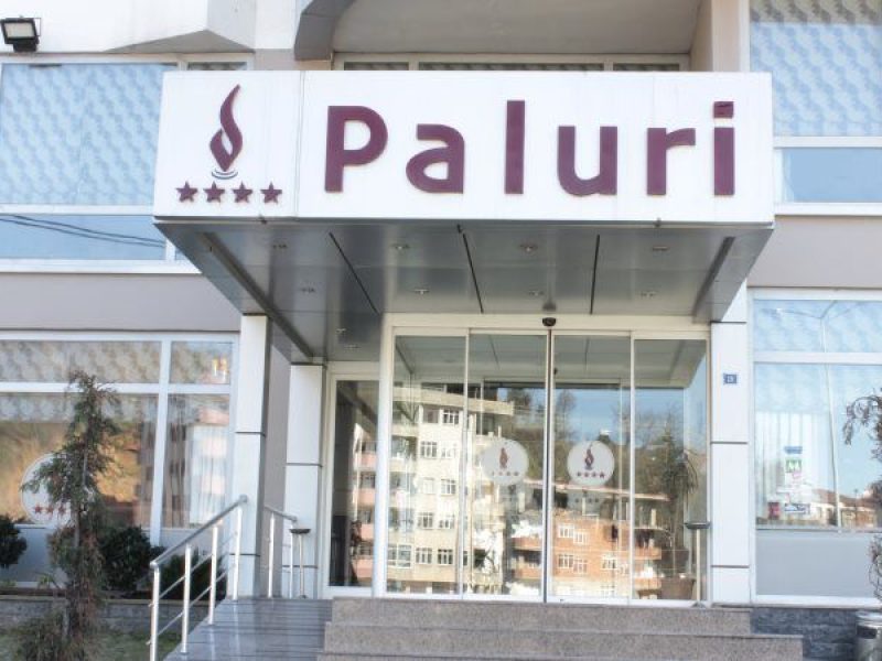 Paluri Hotel Hopa SPA — fotoğraf 1
