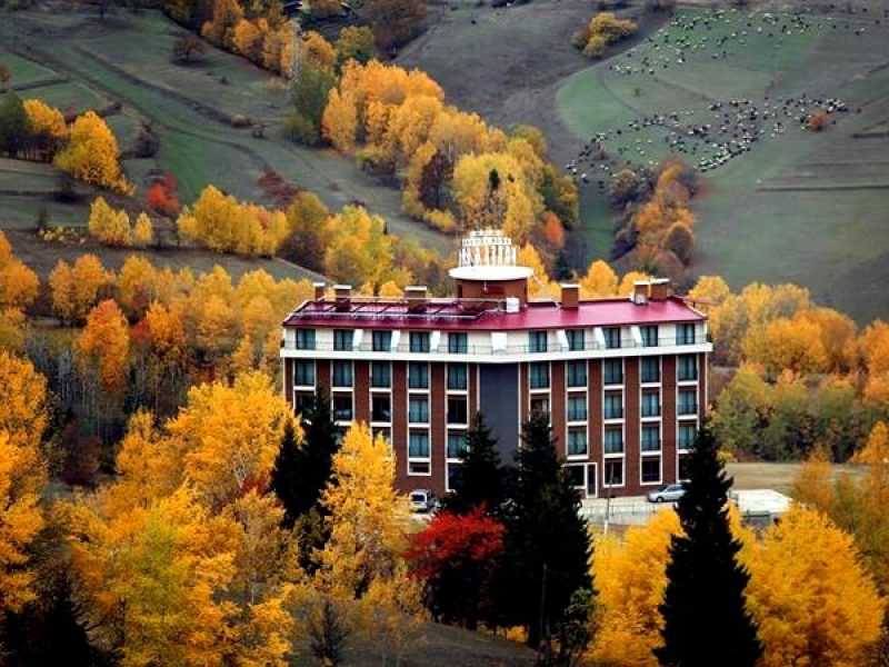 Black Forest Hotel & SPA Şavşat — fotoğraf 1
