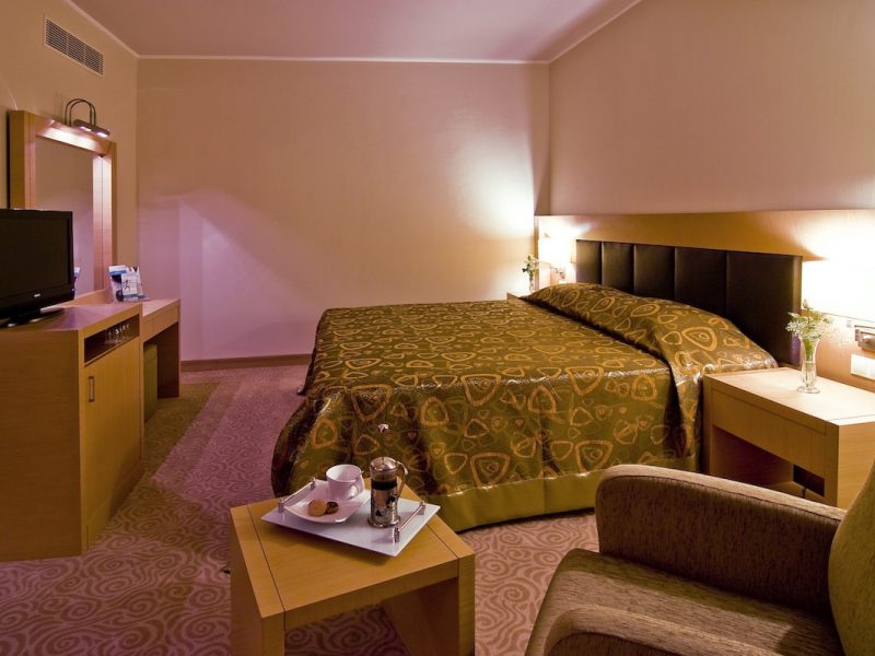 Adrina Termal Health & SPA Hotel — fotoğraf 1