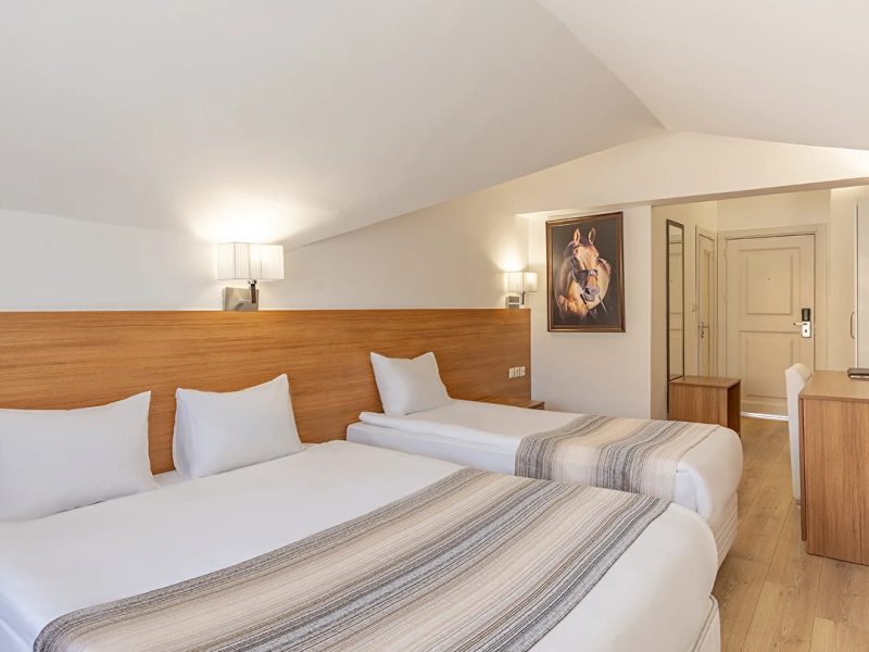 Mirada Del Monte Erciyes Hotel SPA