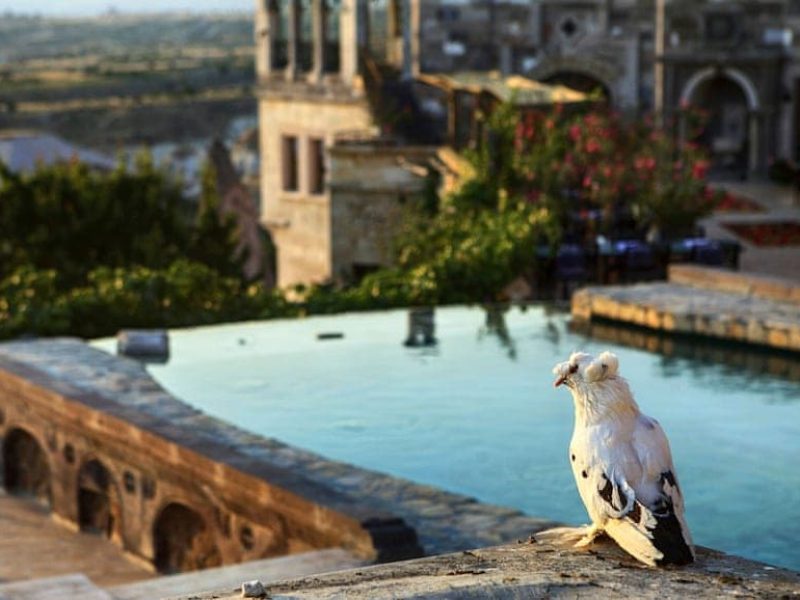 Museum Hotel Cappadocia SPA — fotoğraf 1
